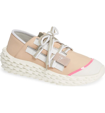 Shop Giuseppe Zanotti Scale Sole Sneaker In Pink