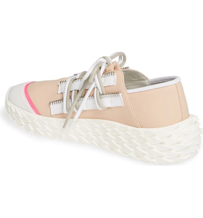 Shop Giuseppe Zanotti Scale Sole Sneaker In Pink