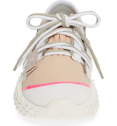 Shop Giuseppe Zanotti Scale Sole Sneaker In Pink