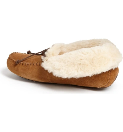 Shop Ugg Pure(tm) Alena Suede Slipper Bootie In Chestnut