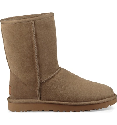 Shop Ugg 'classic Ii' Genuine Shearling Lined Short Boot In Antelope