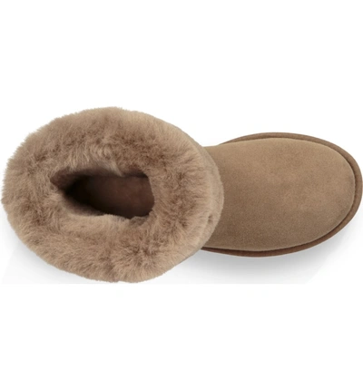 Shop Ugg 'classic Ii' Genuine Shearling Lined Short Boot In Antelope
