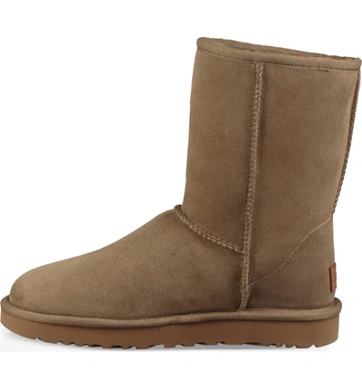 Shop Ugg 'classic Ii' Genuine Shearling Lined Short Boot In Antelope