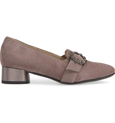 Shop Amalfi By Rangoni Rifugio Pump In Dark Taupe Suede