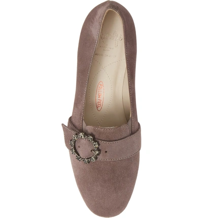 Shop Amalfi By Rangoni Rifugio Pump In Dark Taupe Suede