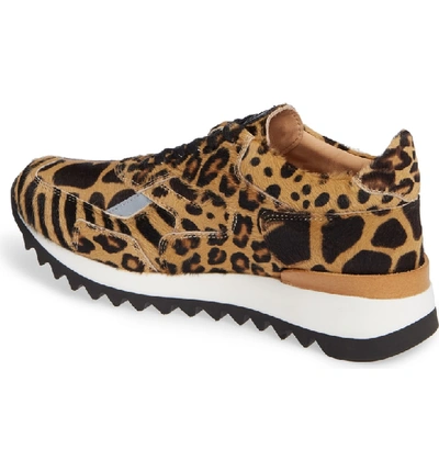 Shop Greats Pronto Genuine Calf Hair Sneaker In Animal Print Calf Hair