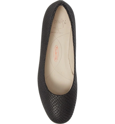 Shop Amalfi By Rangoni Record Pump In Black Oxide Suede