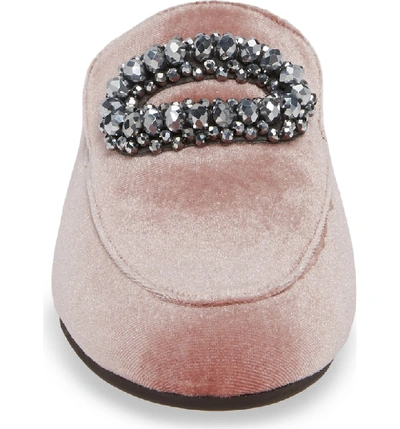 Shop Adrianna Papell Becky Embellished Mule In Dusty Rose Velvet