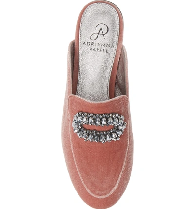 Shop Adrianna Papell Becky Embellished Mule In Dusty Rose Velvet