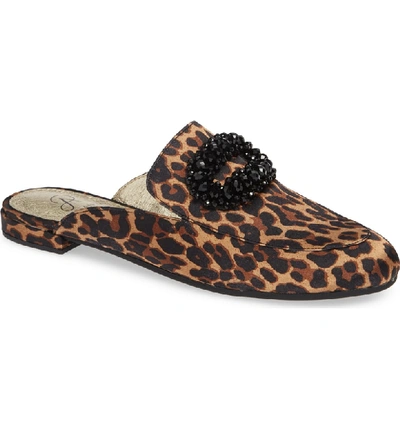 Shop Adrianna Papell Becky Embellished Mule In Leopard