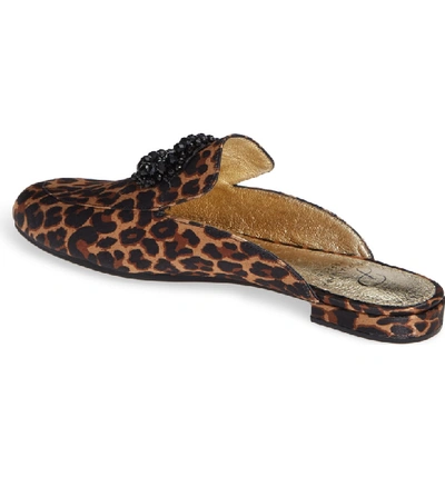 Shop Adrianna Papell Becky Embellished Mule In Leopard