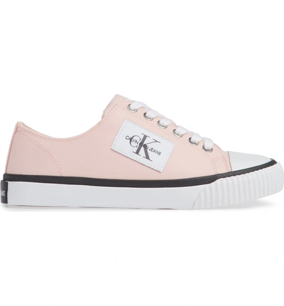 Shop Calvin Klein Jeans Est.1978 Ivory Lace-up Sneaker In Chintz Rose