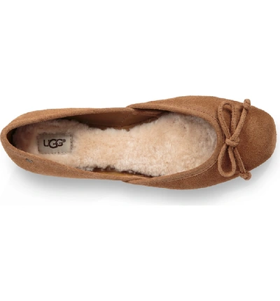 Shop Ugg Lena Flat In Chestnut Suede