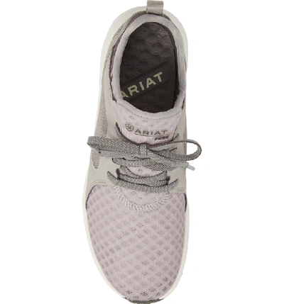 Shop Ariat Fuse Print Sneaker In Fuse Grey Fabric