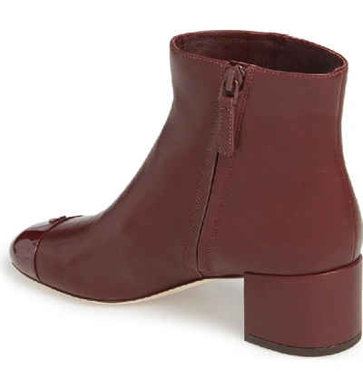 Shop Tory Burch Shelby Cap Toe Bootie In New Claret