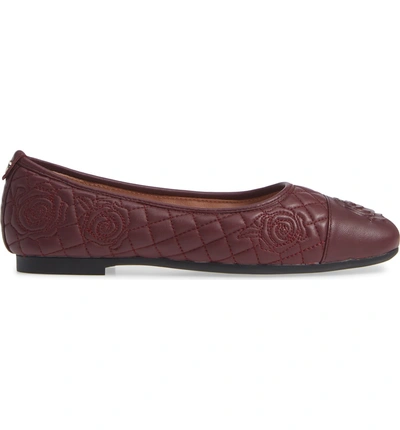 Shop Taryn Rose Reese Embroidered Flat In Fig Leather