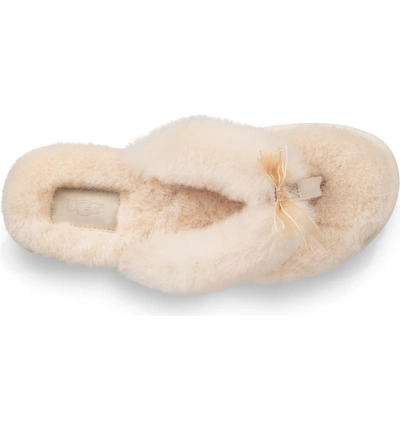 Shop Ugg Fluff Iii Flip Flop In Natural