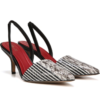 Shop Diane Von Furstenberg Mortelle Genuine Snakeskin Pump In Natural Multi Stripe Snake