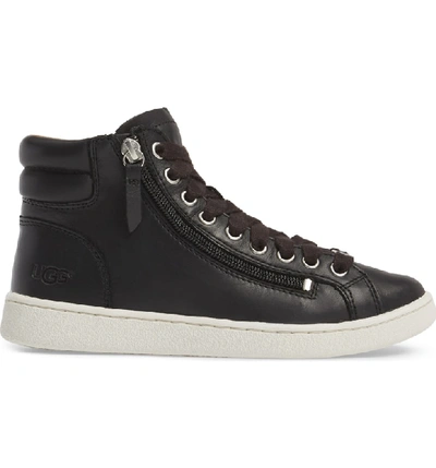 Shop Ugg Olive High Top Sneaker In Black Leather