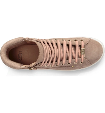 Ugg olive sneaker fawn sale