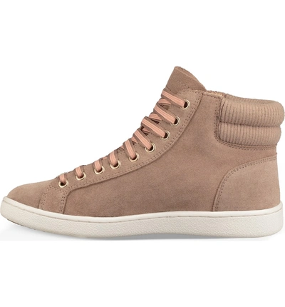 Shop Ugg Olive High Top Sneaker In Fawn