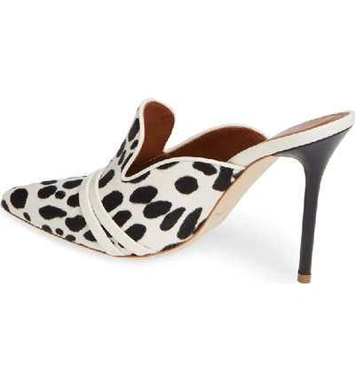 Shop Malone Souliers Hayley Genuine Calf Hair Mule In Ivory/ Black