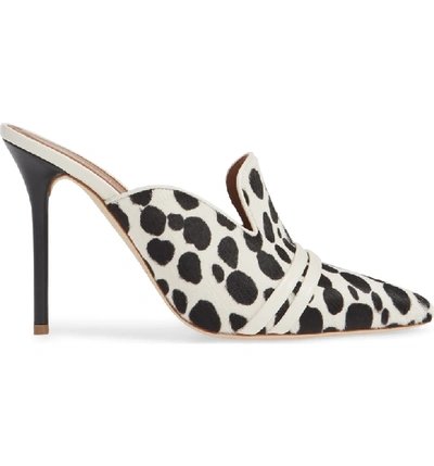 Shop Malone Souliers Hayley Genuine Calf Hair Mule In Ivory/ Black