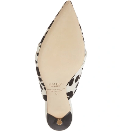 Shop Malone Souliers Hayley Genuine Calf Hair Mule In Ivory/ Black