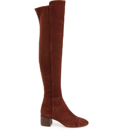Shop Tory Burch Nina Over The Knee Boot In Perfect Brown