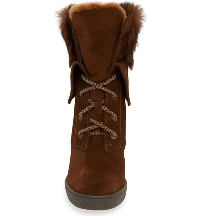 Shop Aquatalia Cordelia Water Resistant Genuine Rabbit Fur Boot In Chestnut