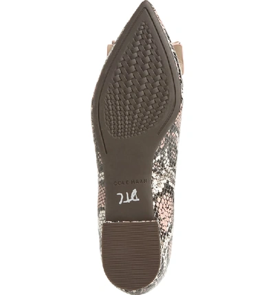 Shop Cole Haan Tali Bow Skimmer Flat In Rose Snake Print Leather