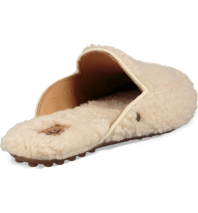 Ugg Lane Fluff Genuine Shearling Loafer Slipper In Natural | ModeSens