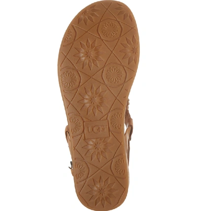 Shop Ugg Ayden Ii T-strap Sandal In Almond Leather