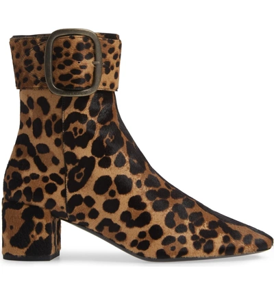 Shop Saint Laurent Leopard Genuine Calf Hair Buckle Bootie In Leopard Calf Hair