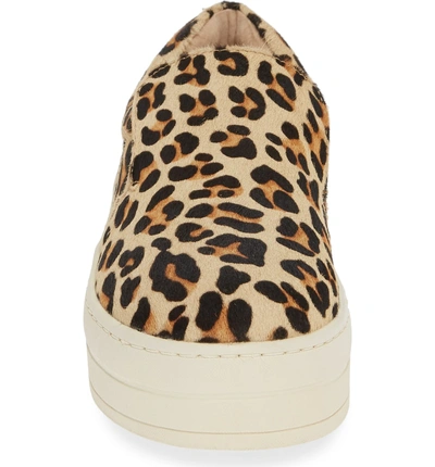 Shop Jslides Harry Genuine Calf Hair Slip-on Sneaker In Leopard Calf Hair