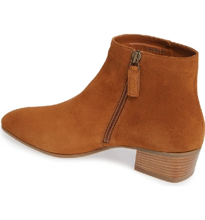 Shop Aquatalia Fuoco Weatherproof Bootie In Bark Suede