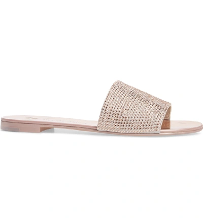 Shop Giuseppe Zanotti Crystal Embellished Slide Sandal In Rose