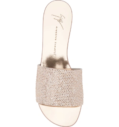 Shop Giuseppe Zanotti Crystal Embellished Slide Sandal In Rose