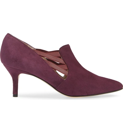 Shop Amalfi By Rangoni Paolo Pump In Eggplant Suede