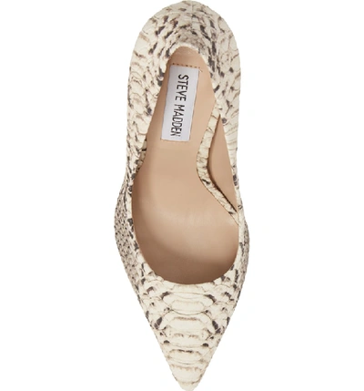 Shop Steve Madden Daisie Pointy-toe Pump In Natural Snake