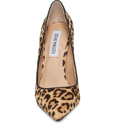 Shop Steve Madden Daisie Pointy-toe Pump In Leopard