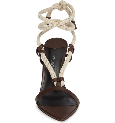 Shop Tony Bianco Manu Roped Sandal In Choc Como Leather