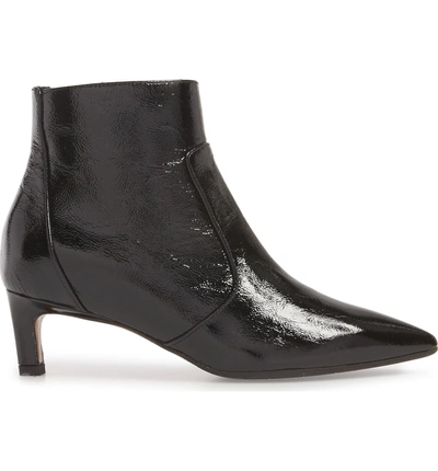 Shop Aquatalia Marilisa Water Resistant Bootie In Black