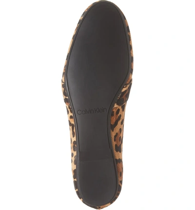 Shop Calvin Klein Orianna Genuine Calf Hair Loafer In Leopard Calf Hair