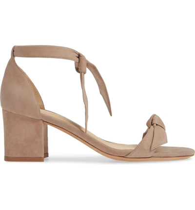 Shop Alexandre Birman Clarita Block Heel Sandal In Cameo Suede