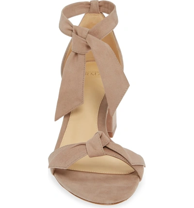 Shop Alexandre Birman Clarita Block Heel Sandal In Cameo Suede