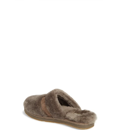 Shop Ugg Dalla Slipper In Slate Wool