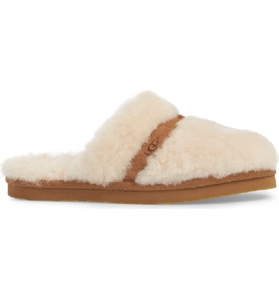 Shop Ugg Dalla Slipper In Natural Wool