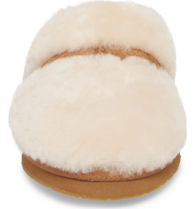 Shop Ugg Dalla Slipper In Natural Wool