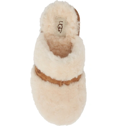 Shop Ugg Dalla Slipper In Natural Wool